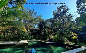 Mi Casa - The Gem Of Ijen