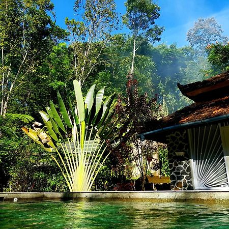 Hotel Mi Casa - The Gem Of Ijen Banyuwangi  Exterior foto