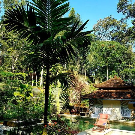 Hotel Mi Casa - The Gem Of Ijen Banyuwangi  Exterior foto