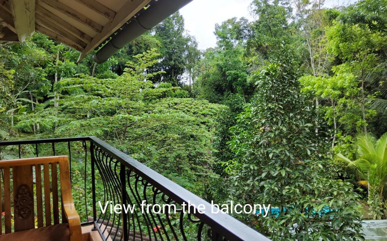 Hotel Mi Casa - The Gem Of Ijen Banyuwangi  Exterior foto