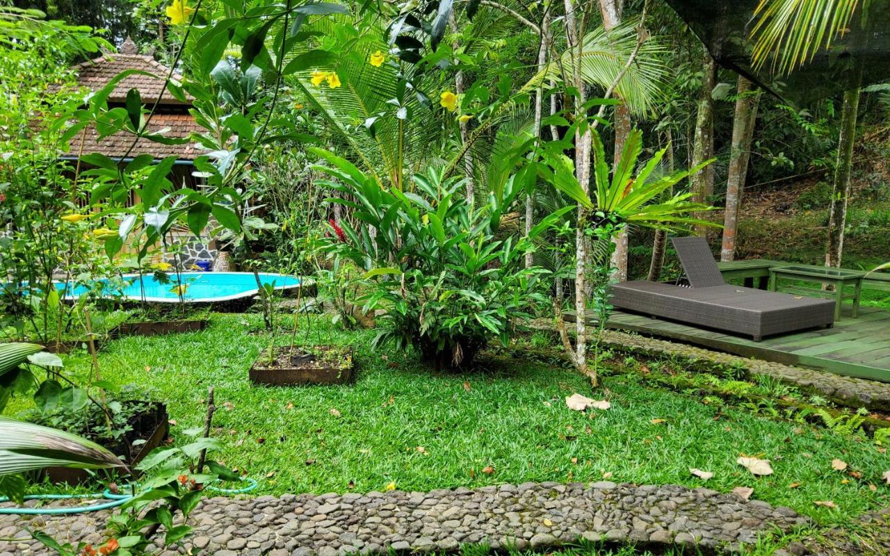 Hotel Mi Casa - The Gem Of Ijen Banyuwangi  Exterior foto