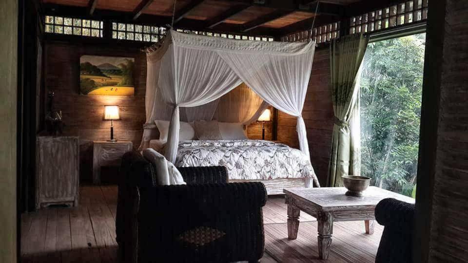 Hotel Mi Casa - The Gem Of Ijen Banyuwangi  Exterior foto
