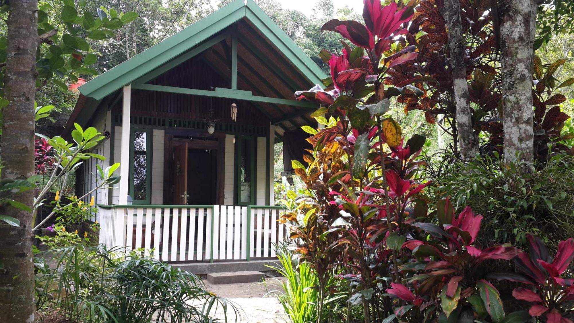 Hotel Mi Casa - The Gem Of Ijen Banyuwangi  Exterior foto