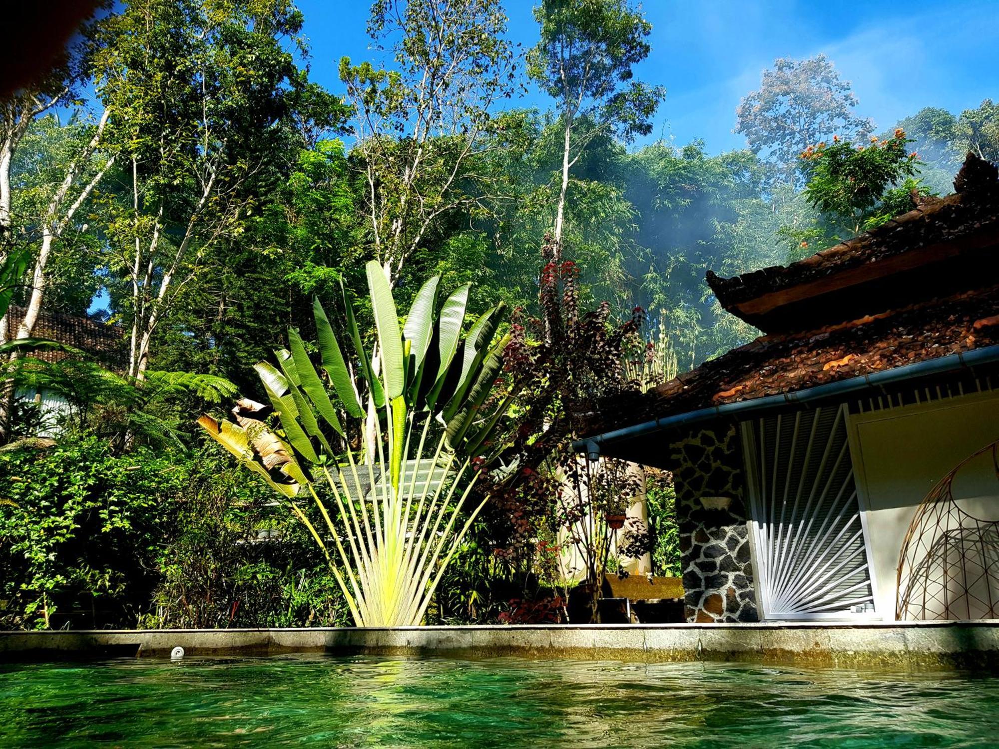 Hotel Mi Casa - The Gem Of Ijen Banyuwangi  Exterior foto