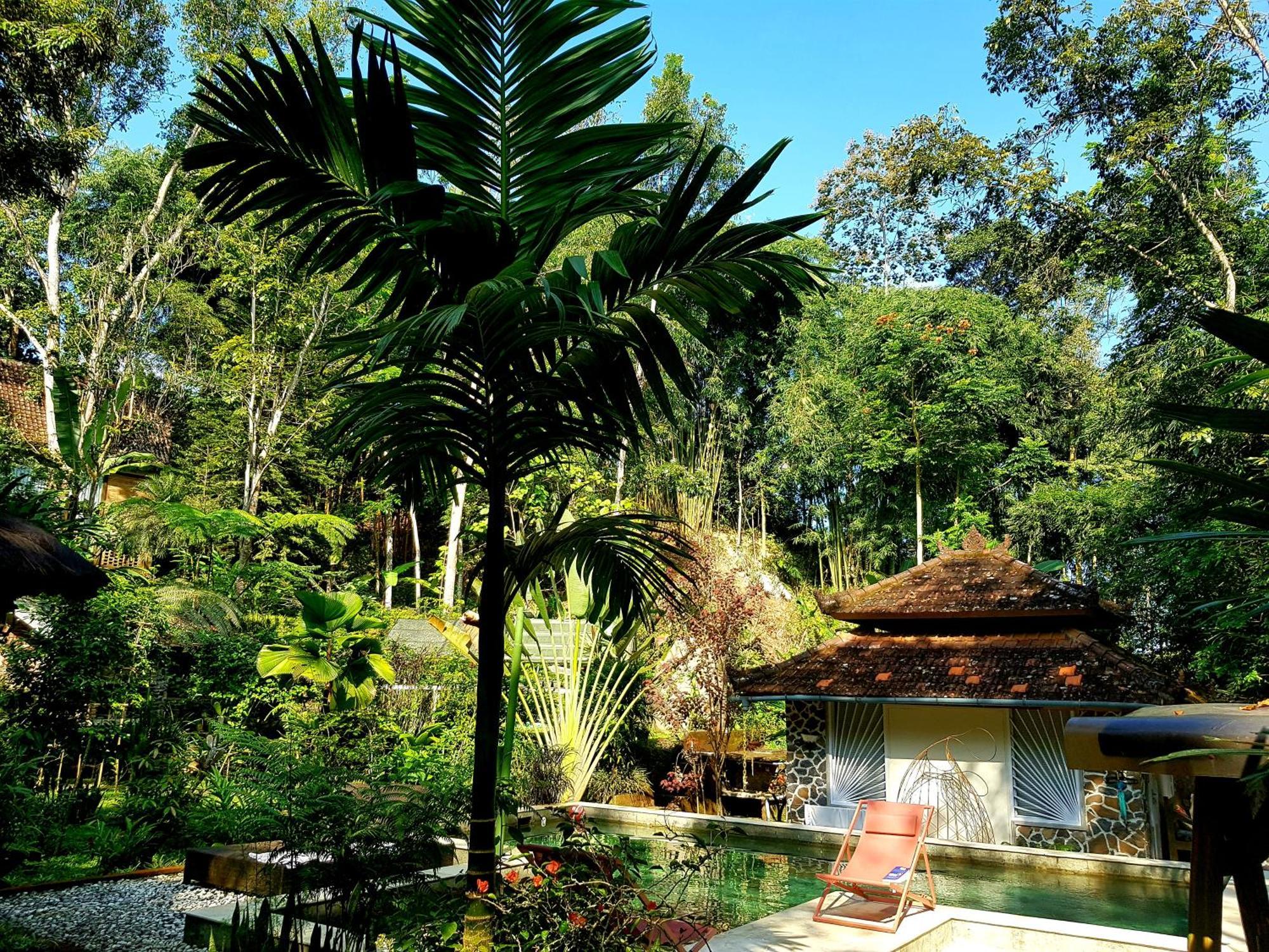 Hotel Mi Casa - The Gem Of Ijen Banyuwangi  Exterior foto