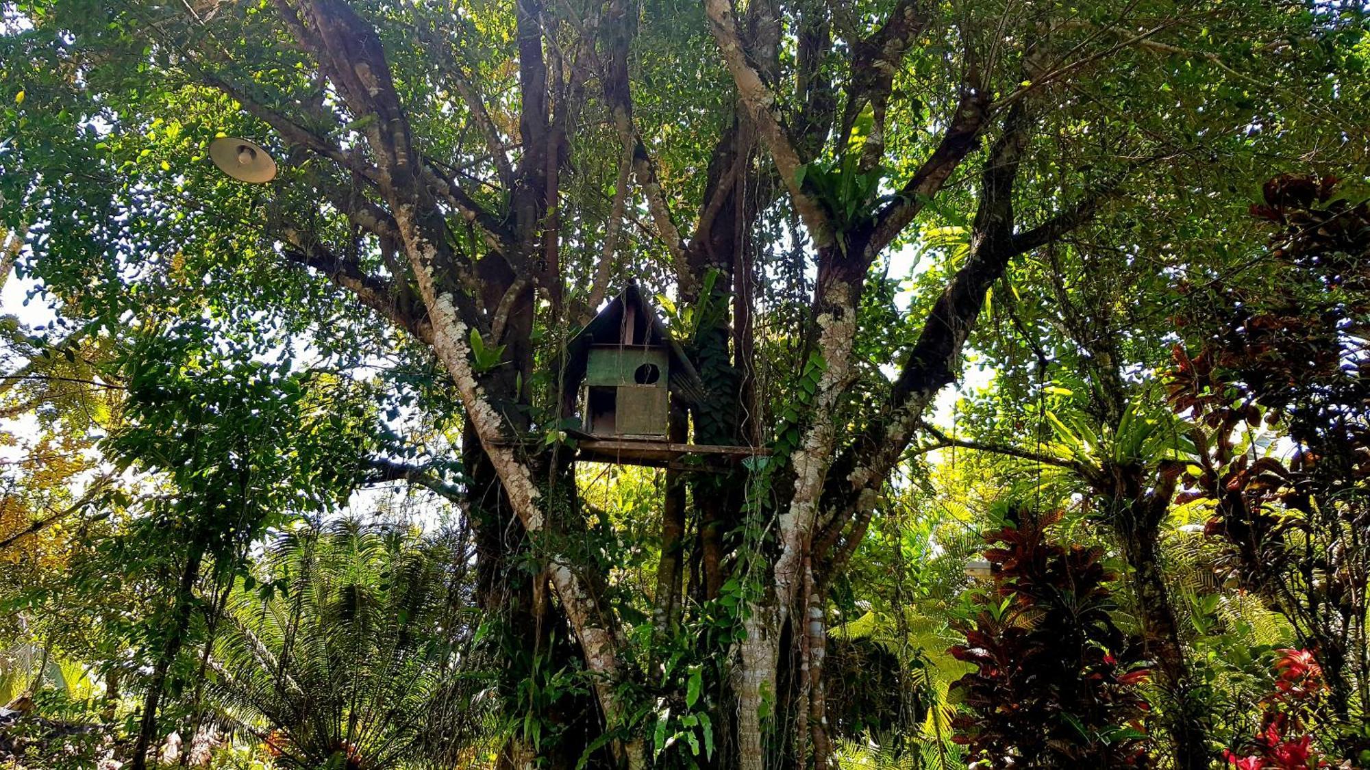 Hotel Mi Casa - The Gem Of Ijen Banyuwangi  Exterior foto