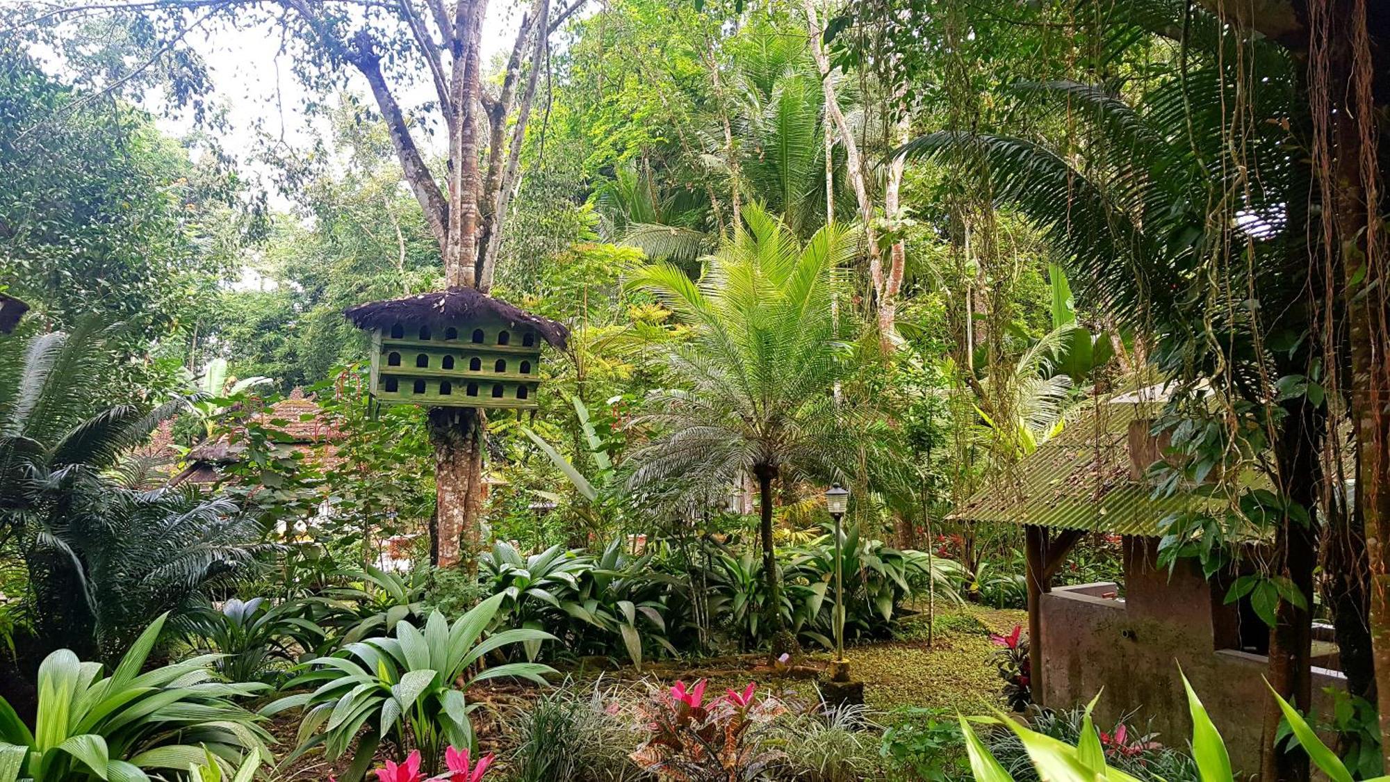 Hotel Mi Casa - The Gem Of Ijen Banyuwangi  Exterior foto