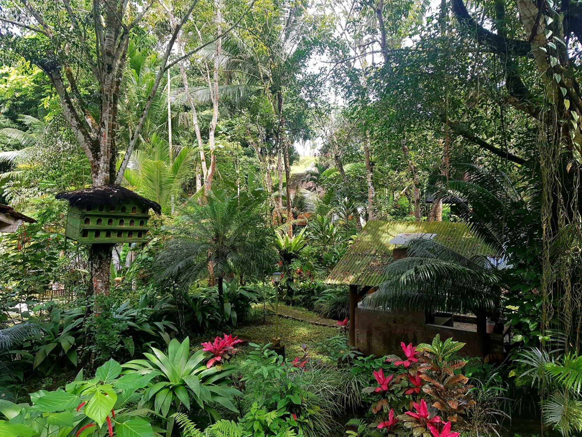 Hotel Mi Casa - The Gem Of Ijen Banyuwangi  Exterior foto