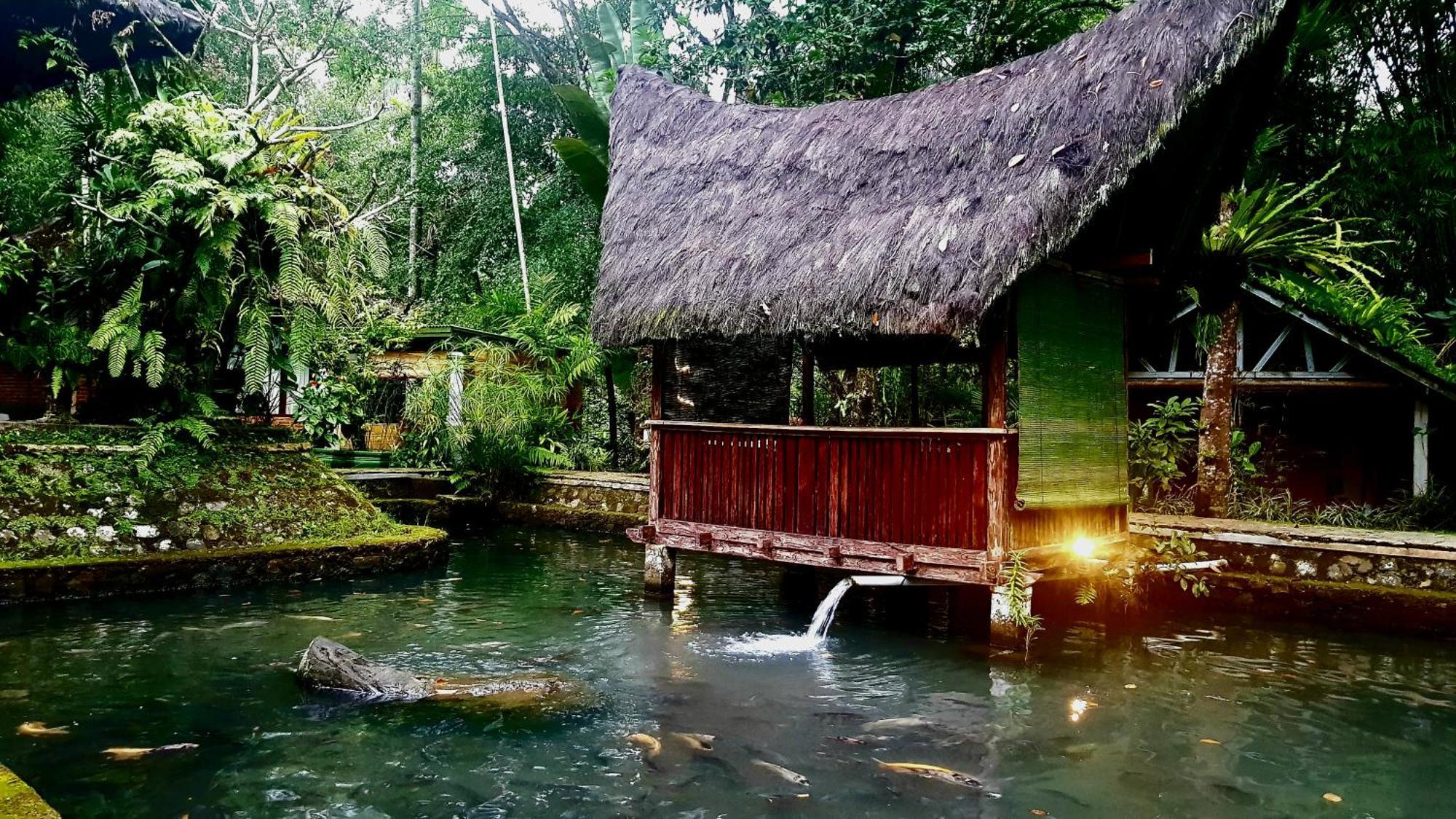 Hotel Mi Casa - The Gem Of Ijen Banyuwangi  Exterior foto