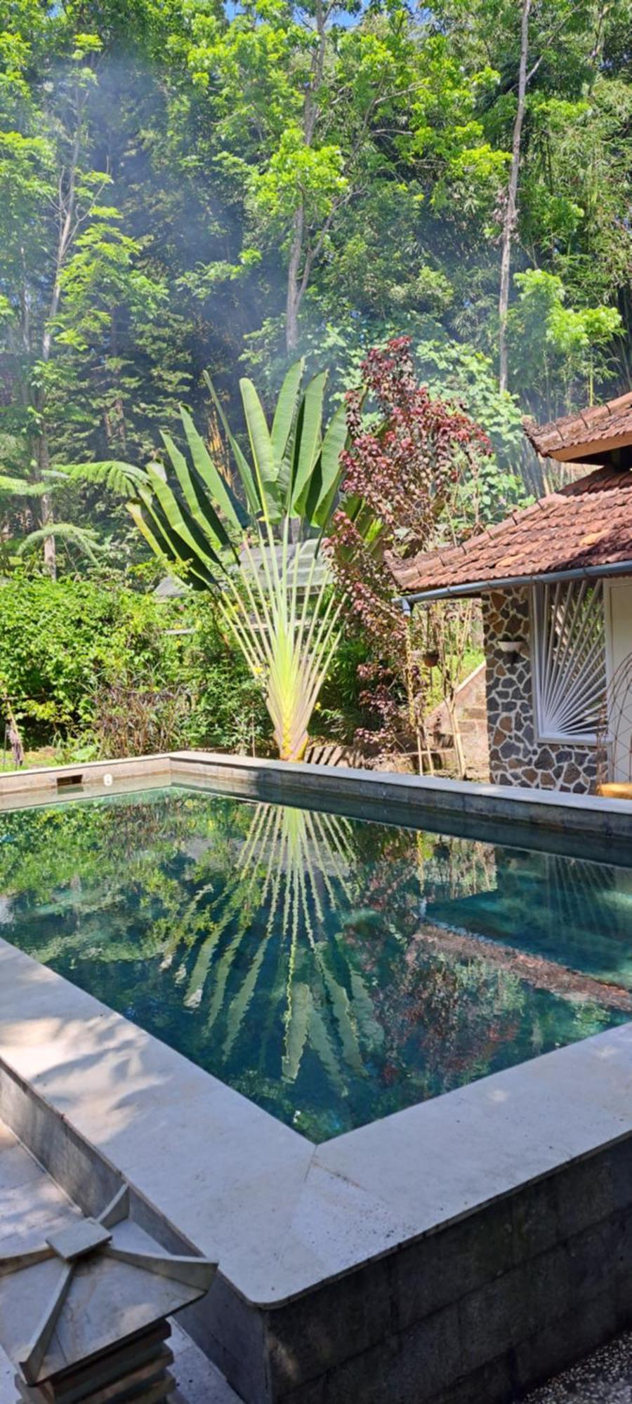 Hotel Mi Casa - The Gem Of Ijen Banyuwangi  Exterior foto